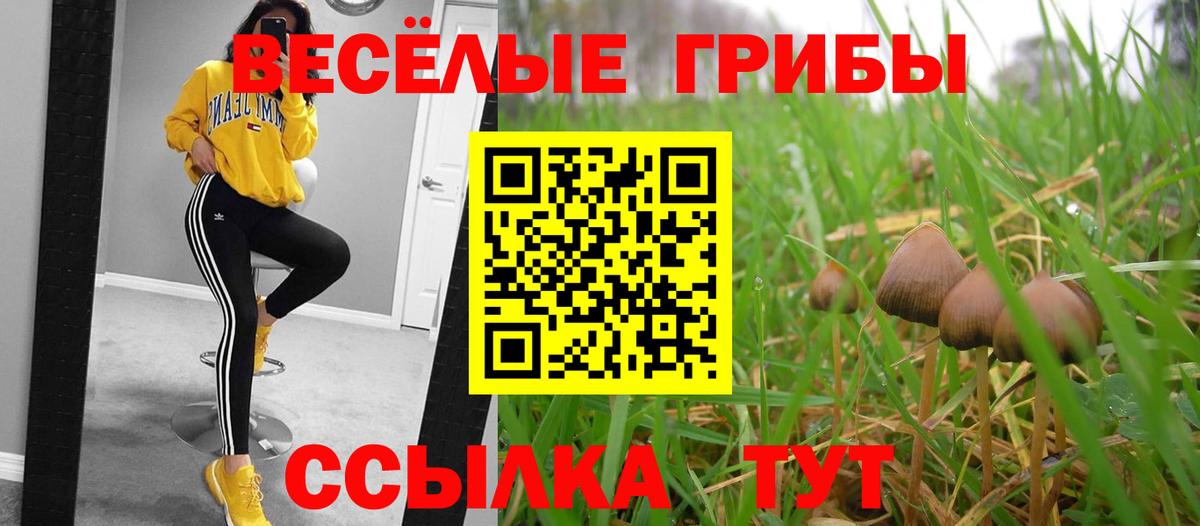 Когалым  купить закладку  Вход с VPN  Галлюциногенные грибы Psilocybine cubensis 